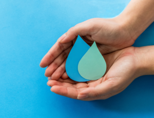 Sostenibilità acqua