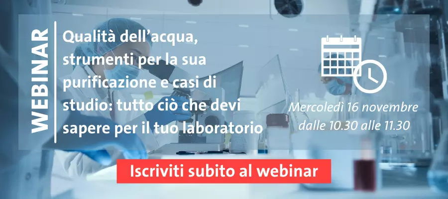 Webinar Elga 2022