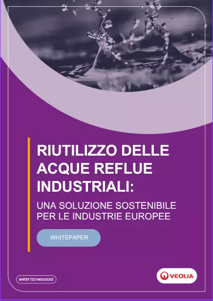 White paper riuso