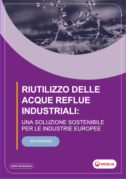 White paper riuso